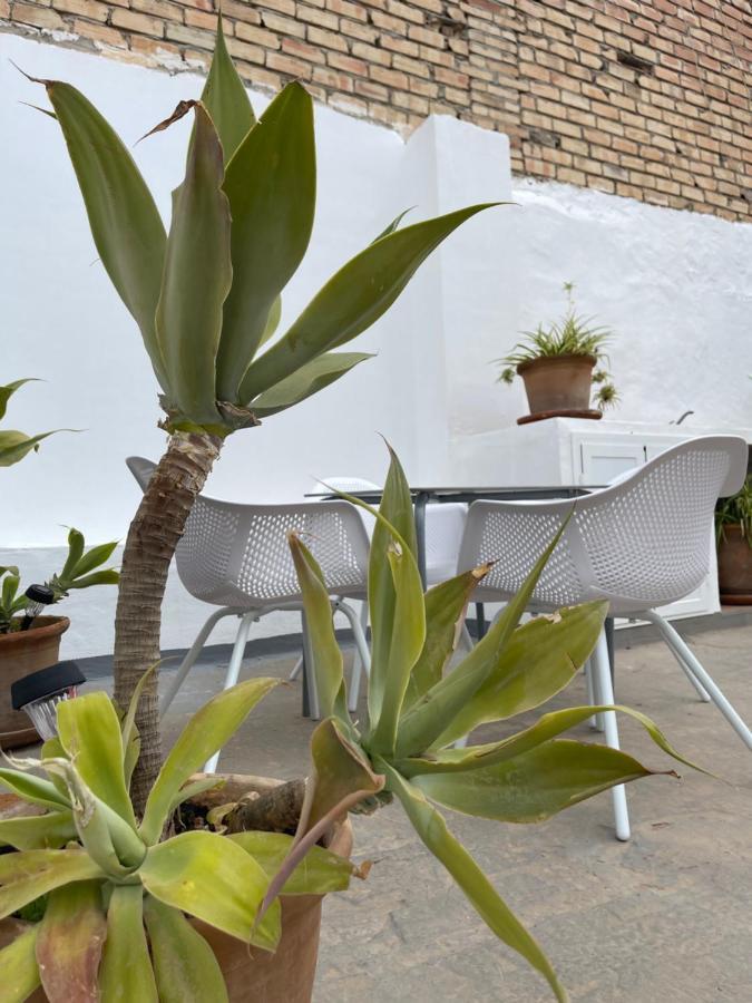 Carmela Apartment. Almuñécar エクステリア 写真